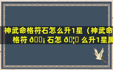 神武命格符石怎么升1星（神武命格符 🐡 石怎 🦍 么升1星属性）